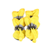 44421650317556|44421650514164|44421650710772|44421650907380|44421651103988|44421651300596|44421651497204