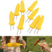 BBQ 8 PCS Stainless Steel Corn Holders - Indigo-Temple
