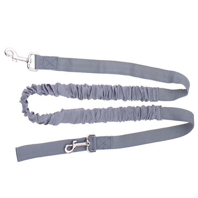 Hands Free-Elastic Dog Leash - Indigo-Temple