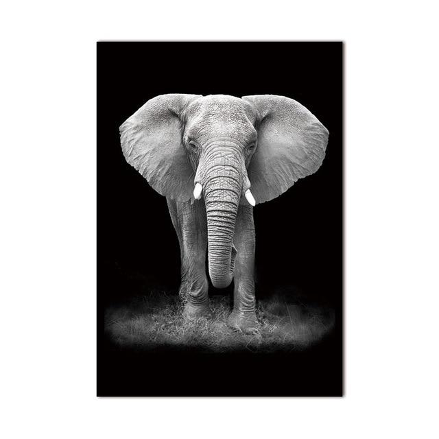 Black & White African Animal Canvas Painting - Indigo-Temple