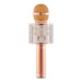 Proffesional Bluetooth Karaoke Microphone - Indigo-Temple