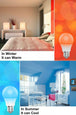 Smart LED Bulb - Indigo-Temple