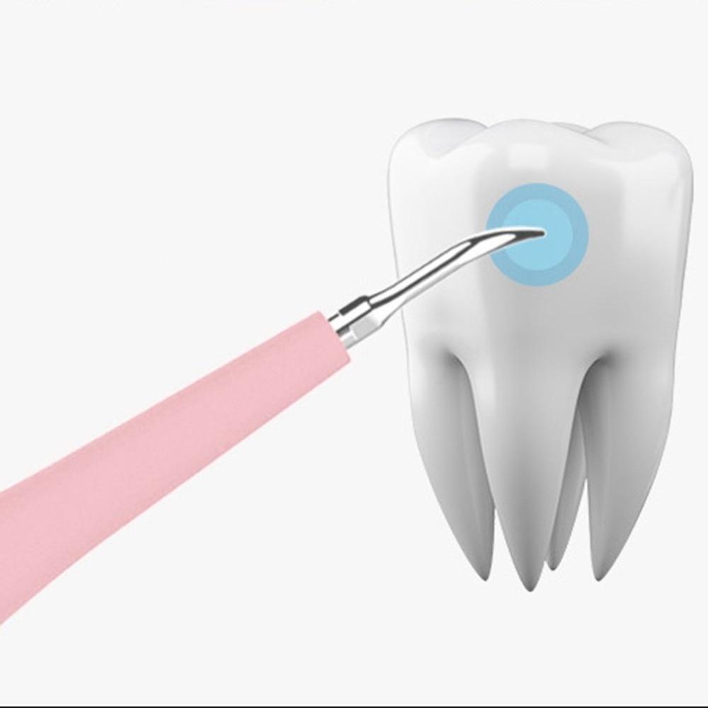 Electric Dental Plaque Remover - Indigo-Temple