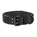 Tactical Nylon Padded Dog Collar - Indigo-Temple