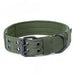 Tactical Nylon Padded Dog Collar - Indigo-Temple
