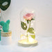 Beauty and the Beast LED Enchanted Rose in Glass Dome - Indigo-Temple