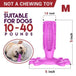 DoggyDoc™ Rrevolutionary 2-in-1 Dogs Toothbrush & Chewing Stick - Indigo-Temple