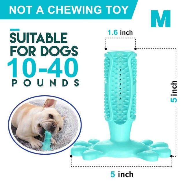 DoggyDoc™ Rrevolutionary 2-in-1 Dogs Toothbrush & Chewing Stick - Indigo-Temple