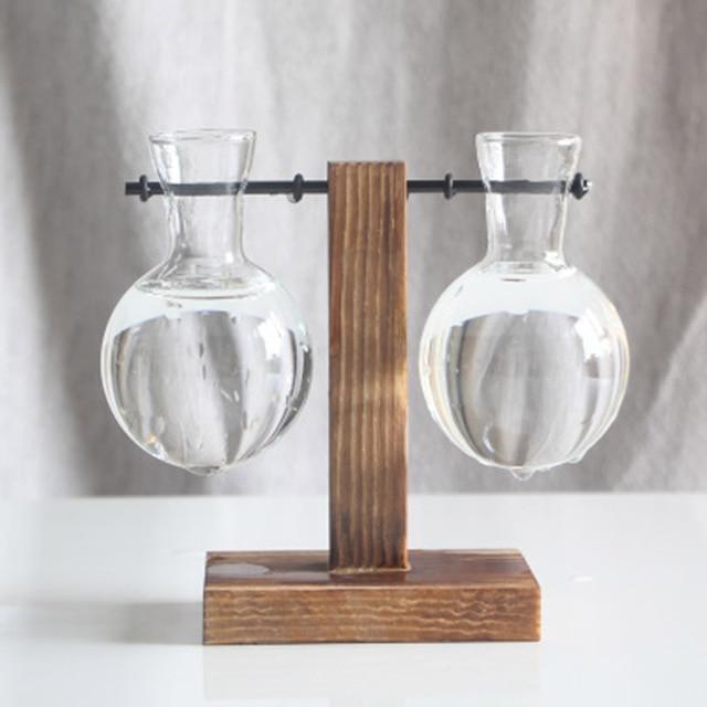 PlantDecor™ Hydroponic Transparent Plant Cocoons - Indigo-Temple