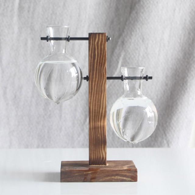 PlantDecor™ Hydroponic Transparent Plant Cocoons - Indigo-Temple