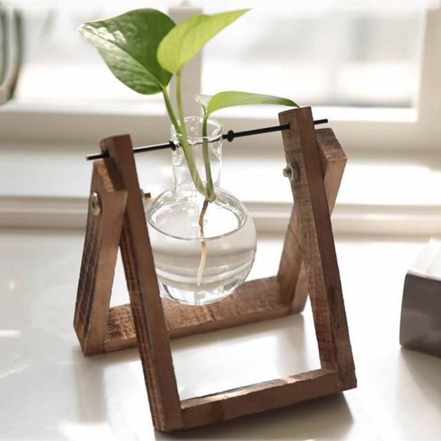 PlantDecor™ Hydroponic Transparent Plant Cocoons - Indigo-Temple