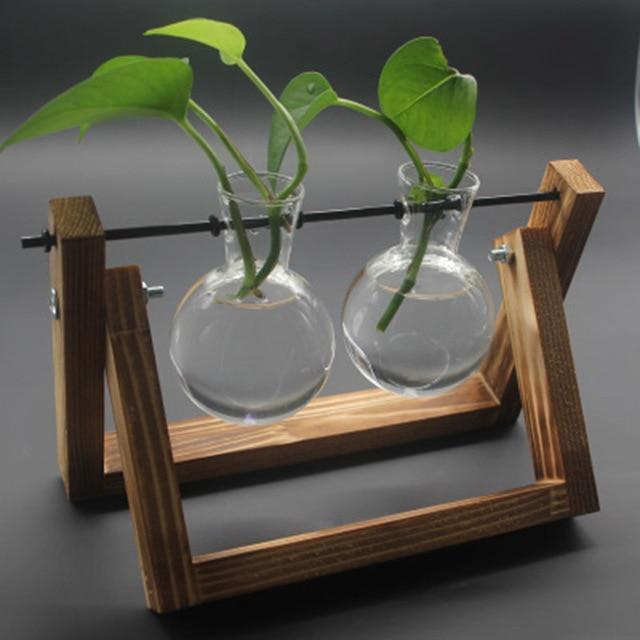 PlantDecor™ Hydroponic Transparent Plant Cocoons - Indigo-Temple