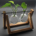 PlantDecor™ Hydroponic Transparent Plant Cocoons - Indigo-Temple
