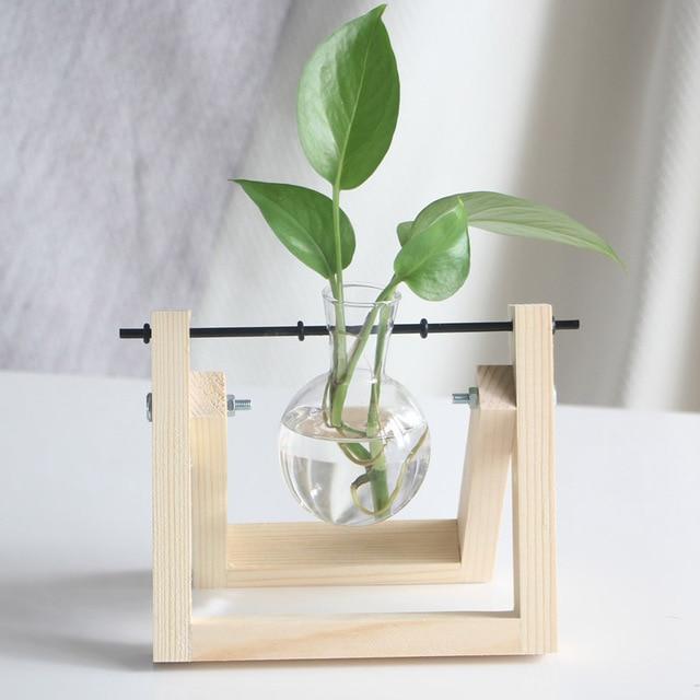 PlantDecor™ Hydroponic Transparent Plant Cocoons - Indigo-Temple