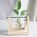 PlantDecor™ Hydroponic Transparent Plant Cocoons - Indigo-Temple
