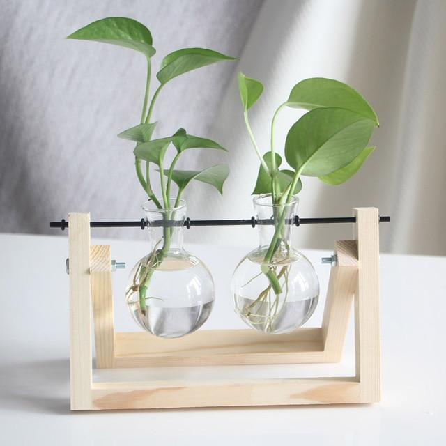 PlantDecor™ Hydroponic Transparent Plant Cocoons - Indigo-Temple