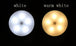 UltraVision™ 2 in 1 Motion Sensor LED Lamp - Indigo-Temple